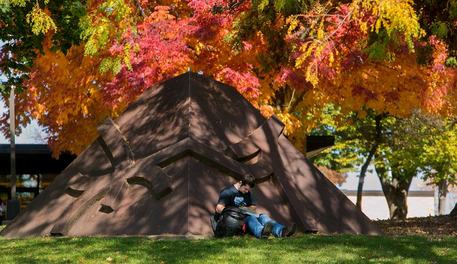 reading under trees