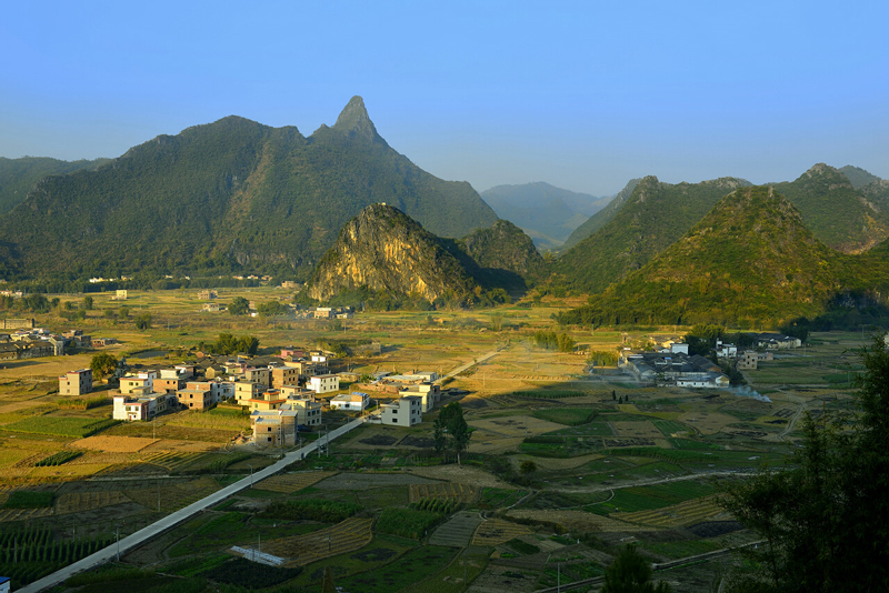 銀梅峰林