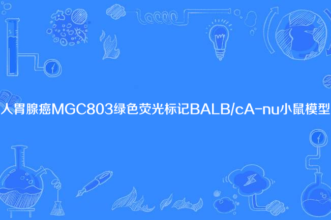 人胃腺癌MGC803綠色螢光標記BALB/cA-nu小鼠模型