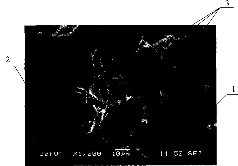 鋁合金和柴油活塞