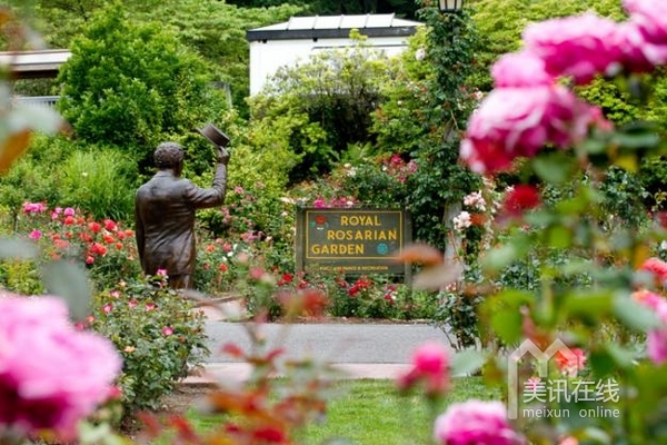 波特蘭國際玫瑰試驗園