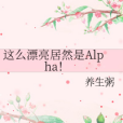 這么漂亮居然是Alpha!