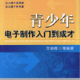 青少年電子製作入門到成才