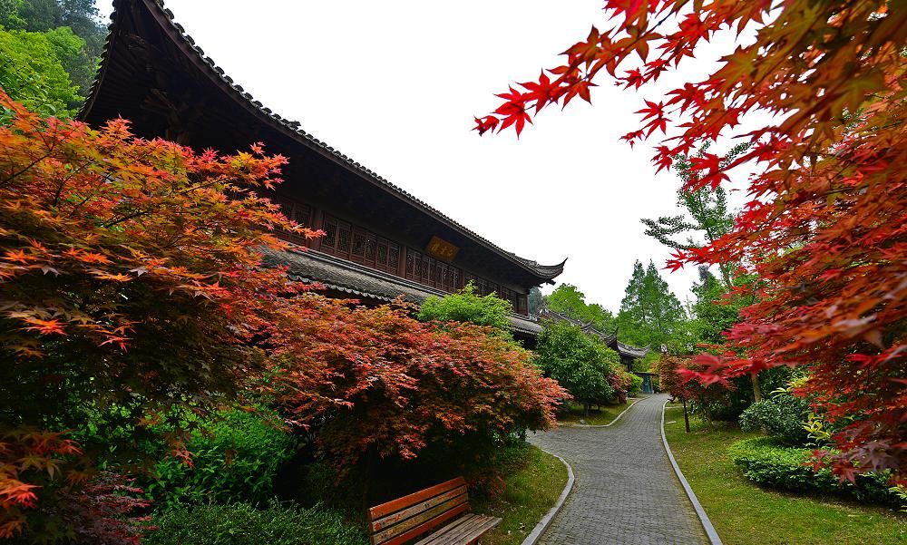 白雲山林場(江西省吉安市青原區白雲山林場)