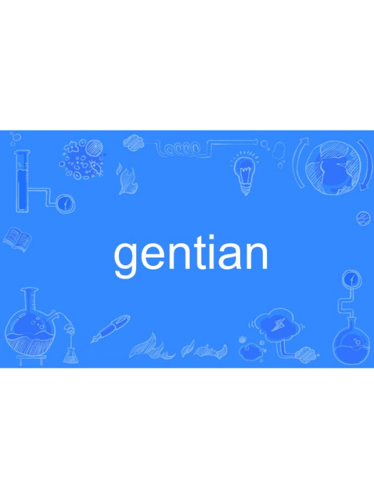 gentian