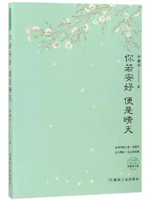 你若安好·便是晴天(2017年煤炭工業出版社出版的圖書)