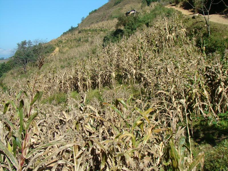 黑岩窪村