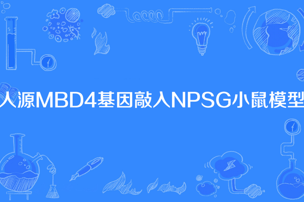 人源MBD4基因敲入NPSG小鼠模型