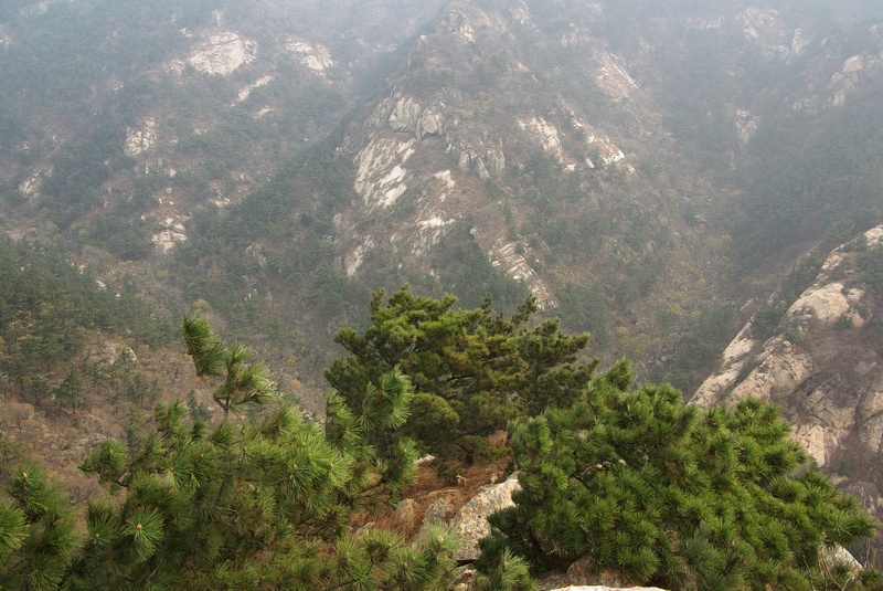 費縣塔山森林公園