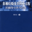 陽極焙燒及其熱工過程的數學分析與仿真