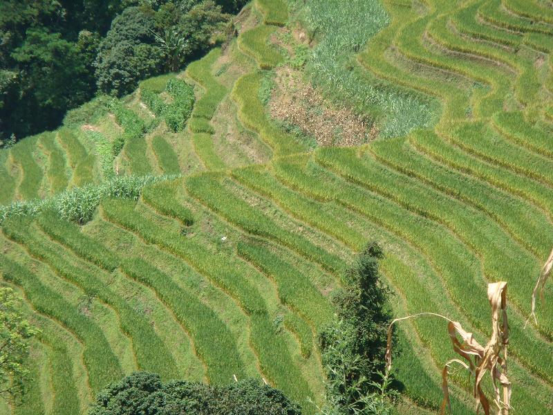 娃娃洞村