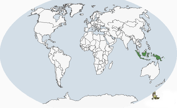 紅胸皇鳩分布圖