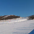 瀋陽怪坡滑雪場