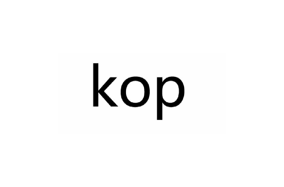 kop(看台)