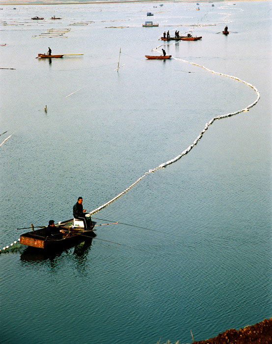 微山湖(微山湖上（微山湖上）)