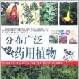 植物科普館分布廣泛的藥用植物(謝宇著圖書)