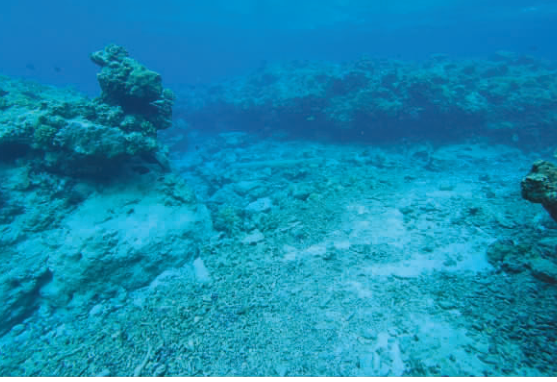 金銀島沉船遺址