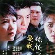 愛我你怕了嗎(2003年喬振宇主演電視劇)