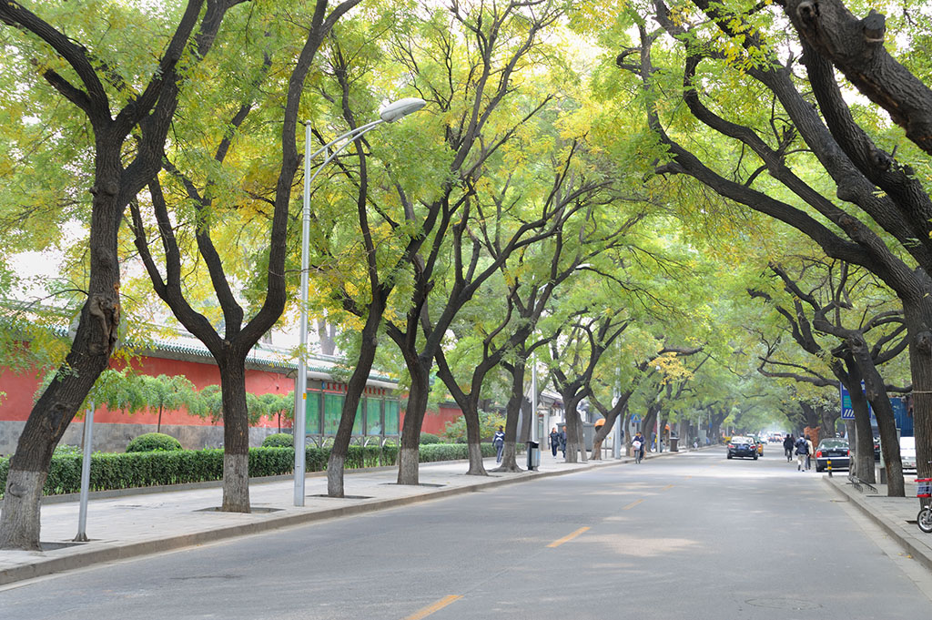 北京街道(廣東省廣州市越秀區北京街道)