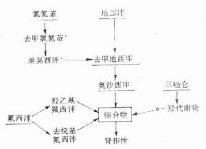 中樞神經系統藥理作用