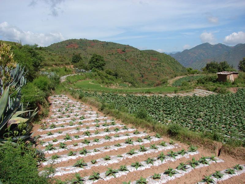 椅子凹村