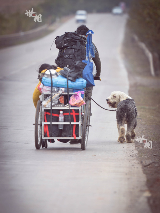 輪椅上的公路之旅