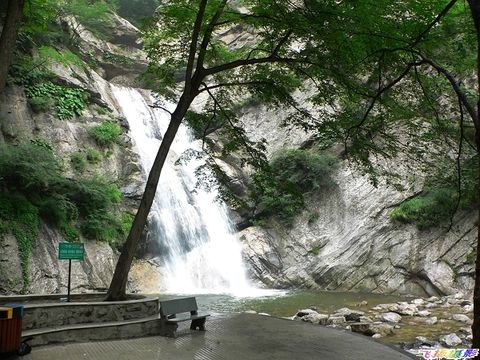 仙鶴坪國家森林公園