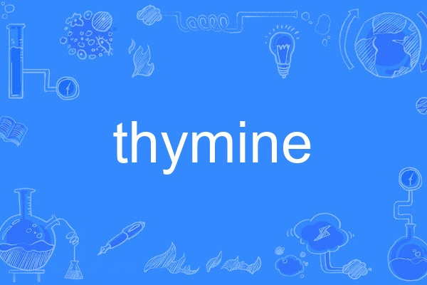 thymine