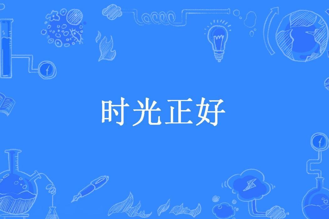 時光正好(阿哲所著小說)