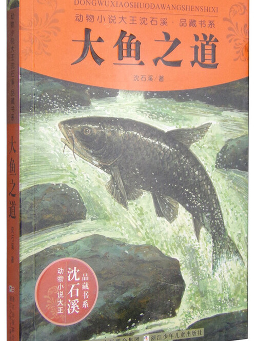 動物小說大王沈石溪·品藏書系：大魚之道