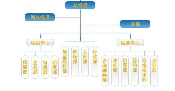 公司架構