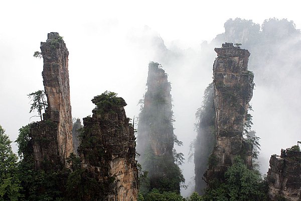 張家界自由風旅行網