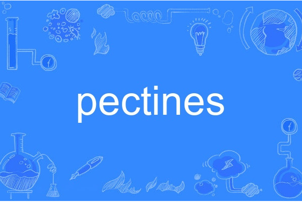 pectines