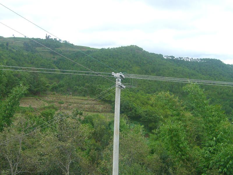 大山後自然村生態山林