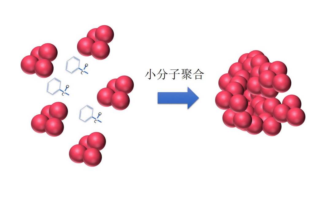 大分子同晶