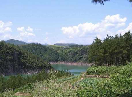 湖山森林公園