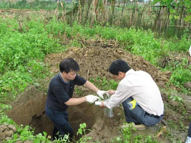 土壤污染調查