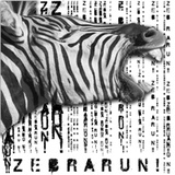 Zebra Run! 斑馬快跑!