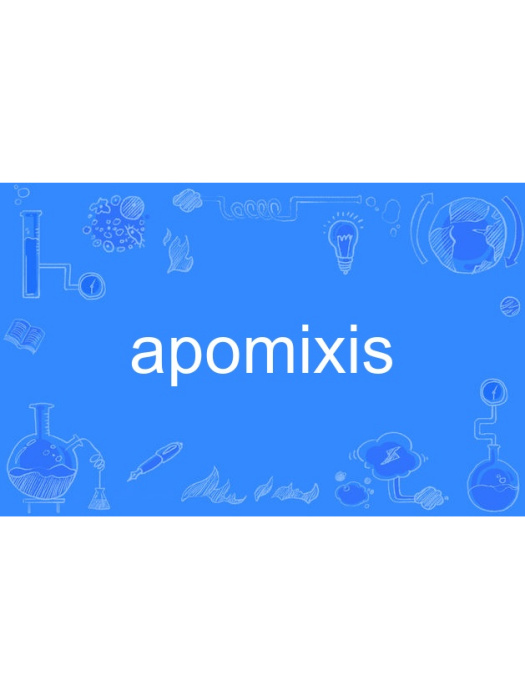 apomixis