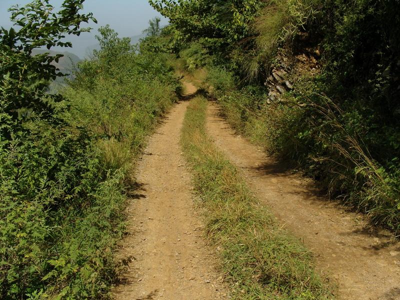 進村道路