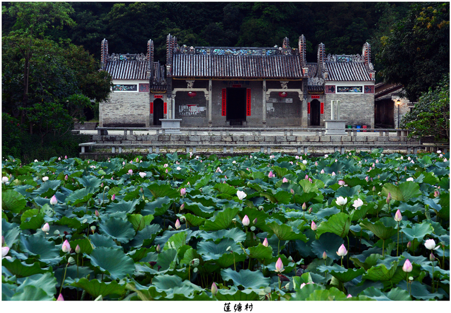 蓮塘村(湖南省郴州市桂陽縣蓮塘鎮下轄村)