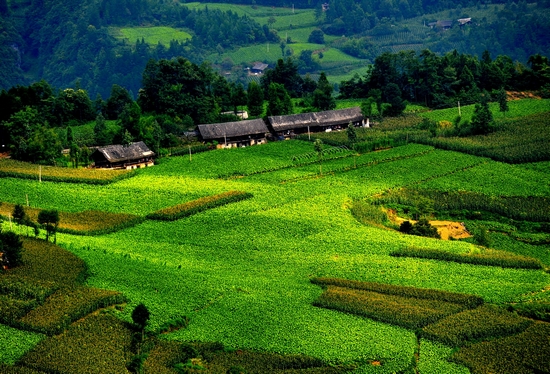 房申村(遼寧省朝陽市喀左縣草場鄉房申村)