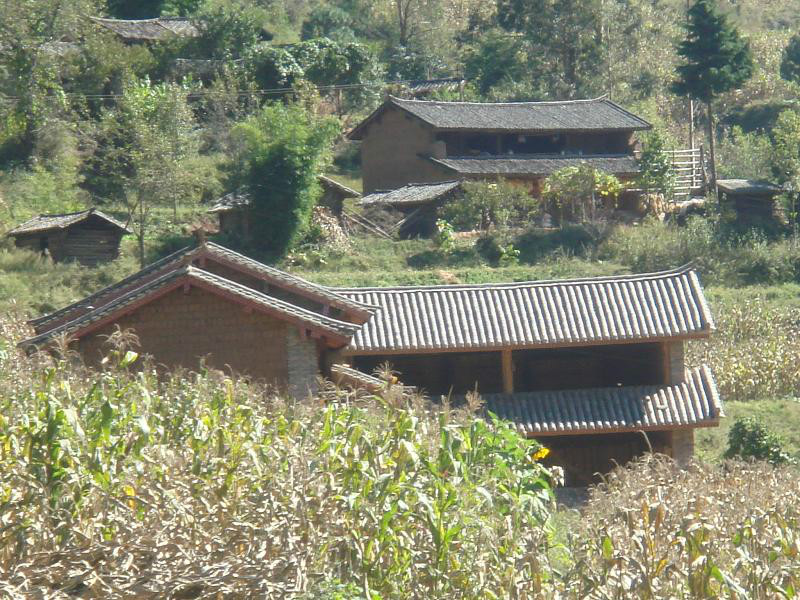 松登村(雲南省大理雲龍縣檢槽鄉師井村委會松登村)