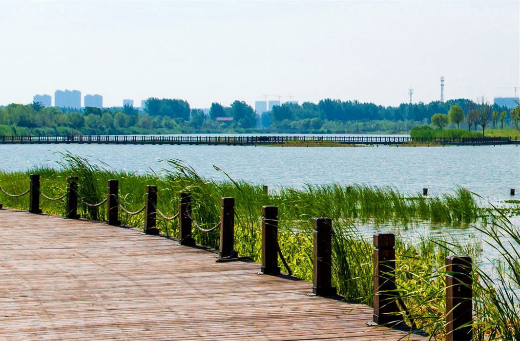 江蘇九里湖國家濕地公園