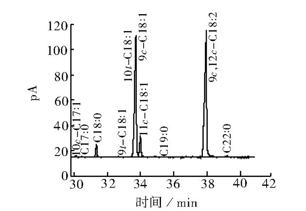 氣相聚合