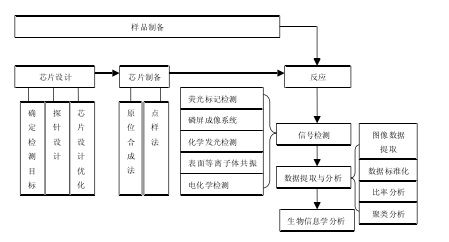 套用流程