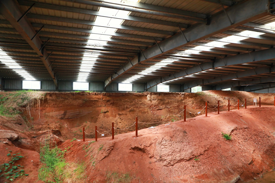 白堊紀國家地質公園(山東萊陽白堊紀國家地質公園)