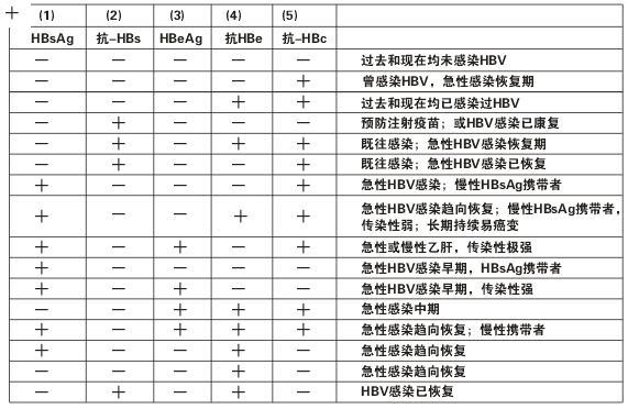 B肝兩對半對照表