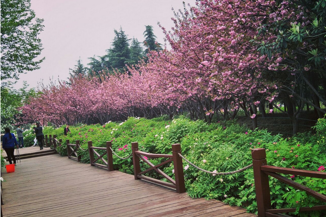 洛陽花園