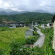 野鴨塘村(雲南省梁河縣河西鄉野鴨塘村)